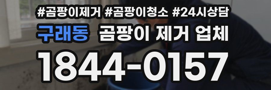 구래동 곰팡이 제거 업체