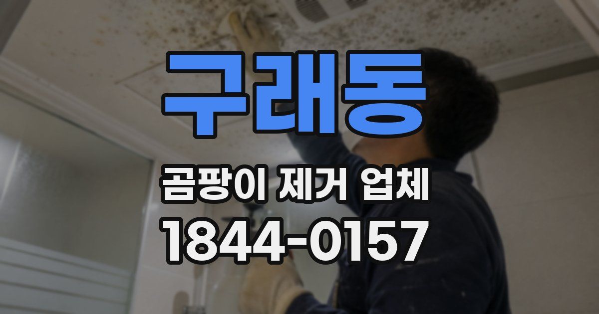 구래동 곰팡이 제거 업체
