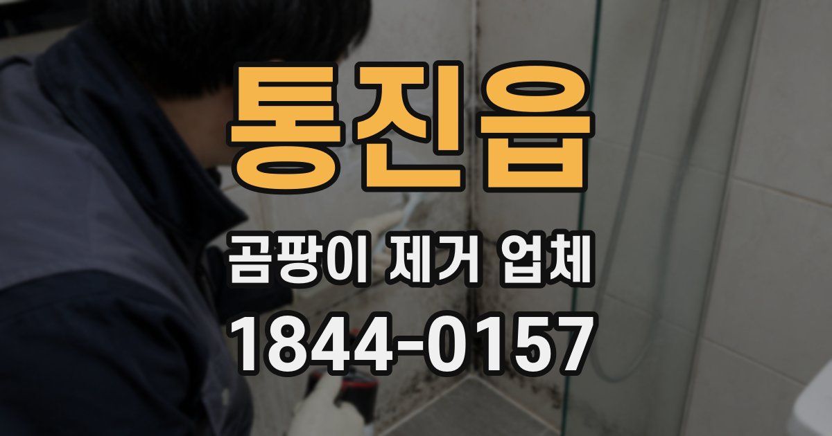 통진읍 곰팡이 제거 업체