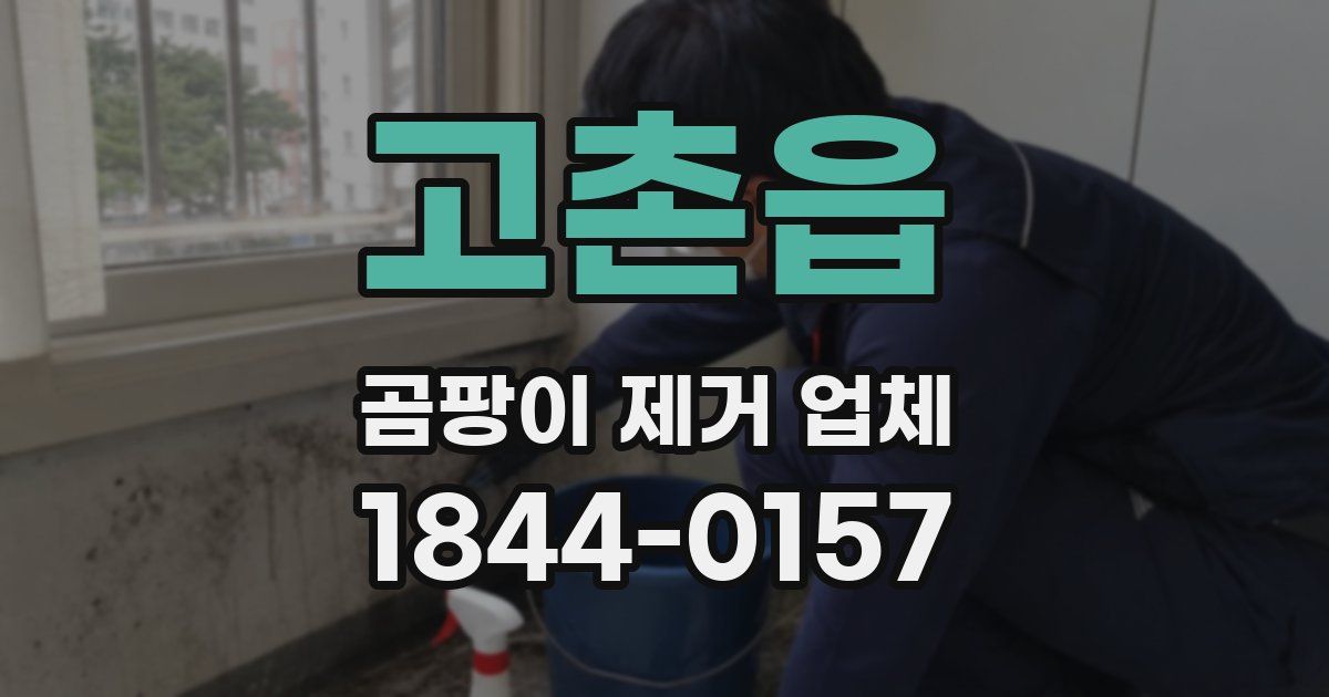 고촌읍 곰팡이 제거 업체