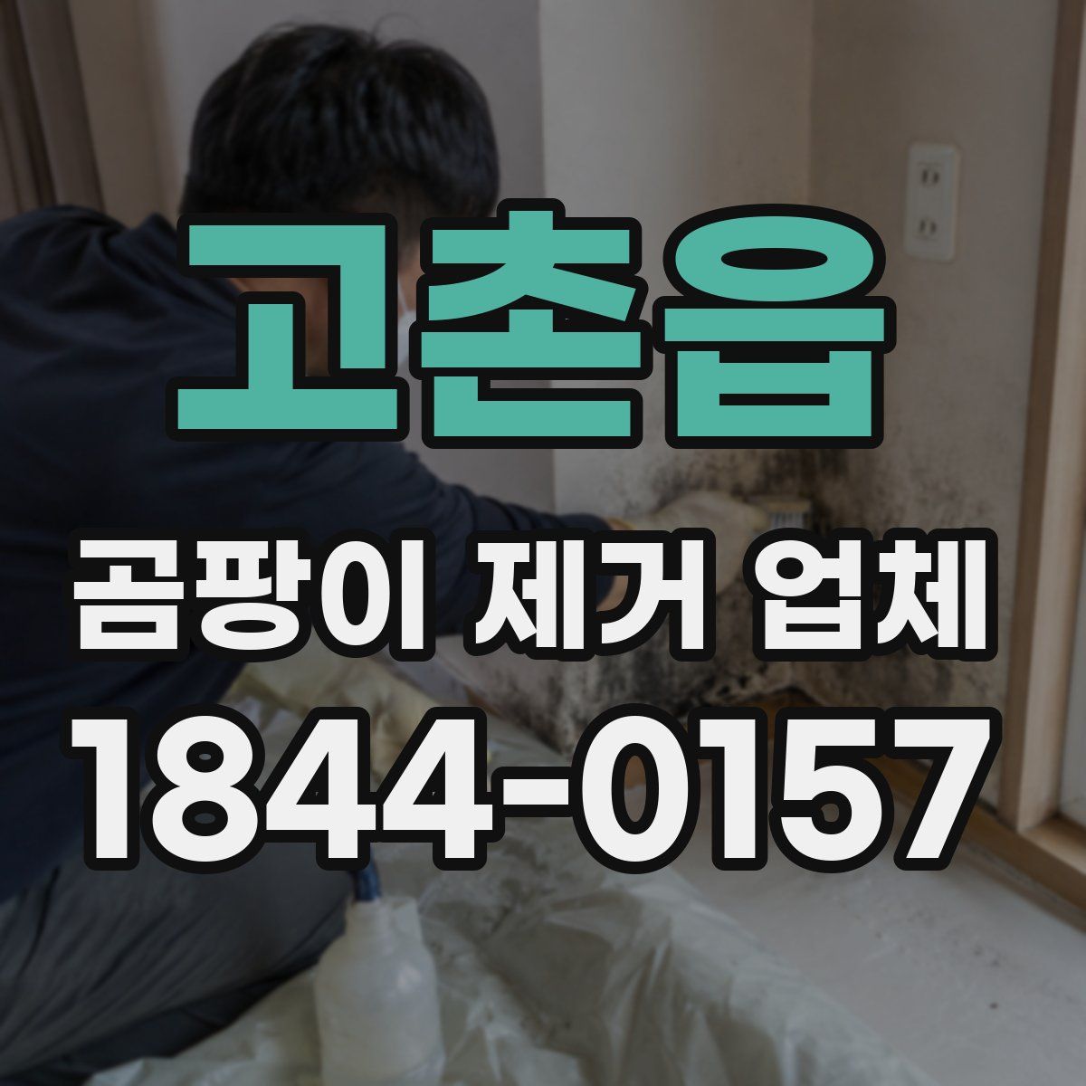 고촌읍 곰팡이 제거 업체