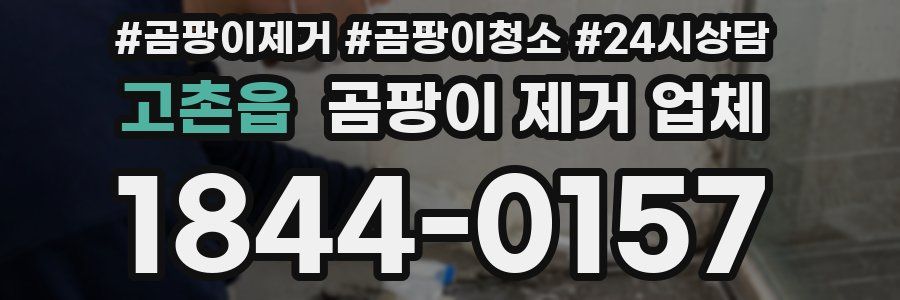 고촌읍 곰팡이 제거 업체