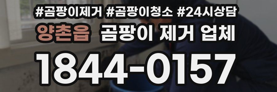 양촌읍 곰팡이 제거 업체