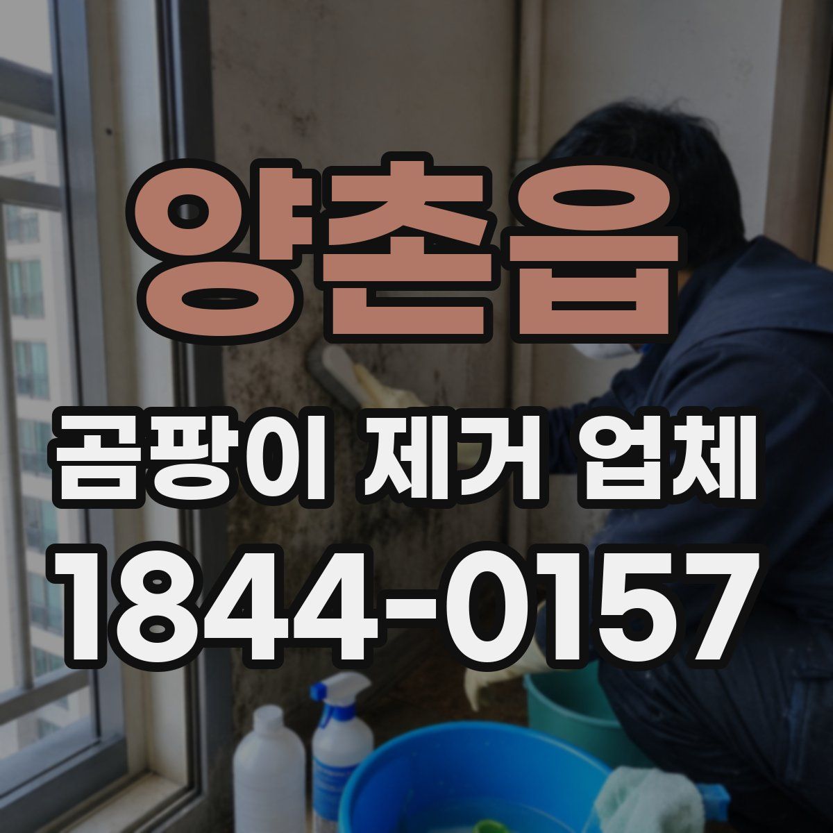 양촌읍 곰팡이 제거 업체