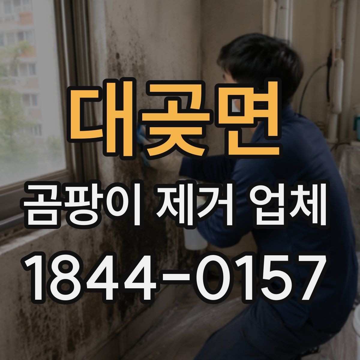 대곶면 곰팡이 제거 업체 오염이 넓게 번졌을 때 달라지는 대응