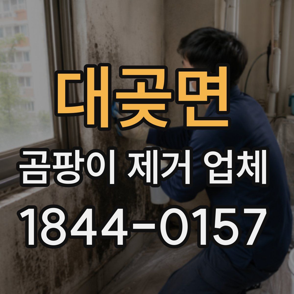 대곶면 곰팡이 제거 업체
