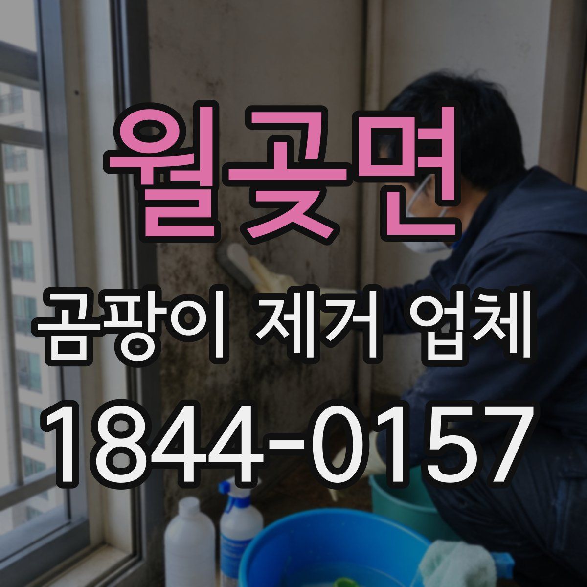 월곶면 곰팡이 제거 업체