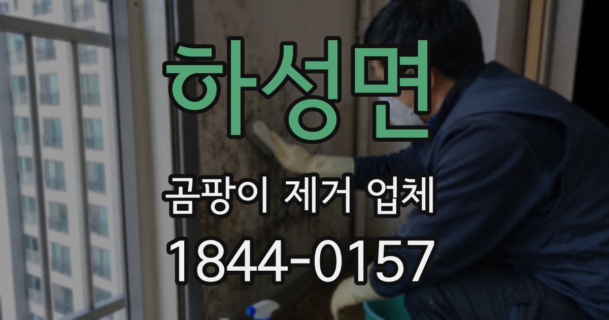 하성면 곰팡이 제거 업체
