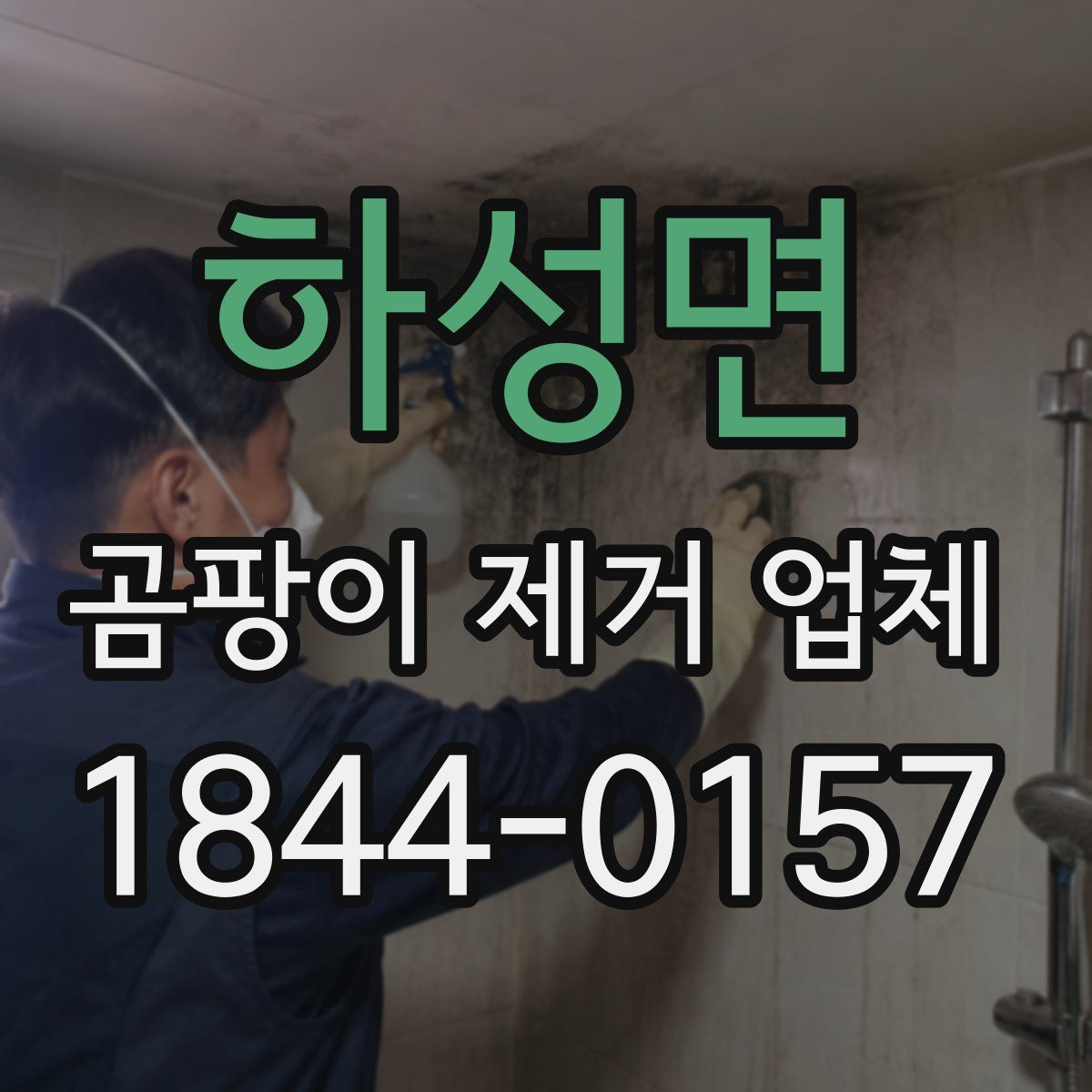 하성면 곰팡이 제거 업체