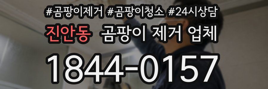 진안동 곰팡이 제거 업체