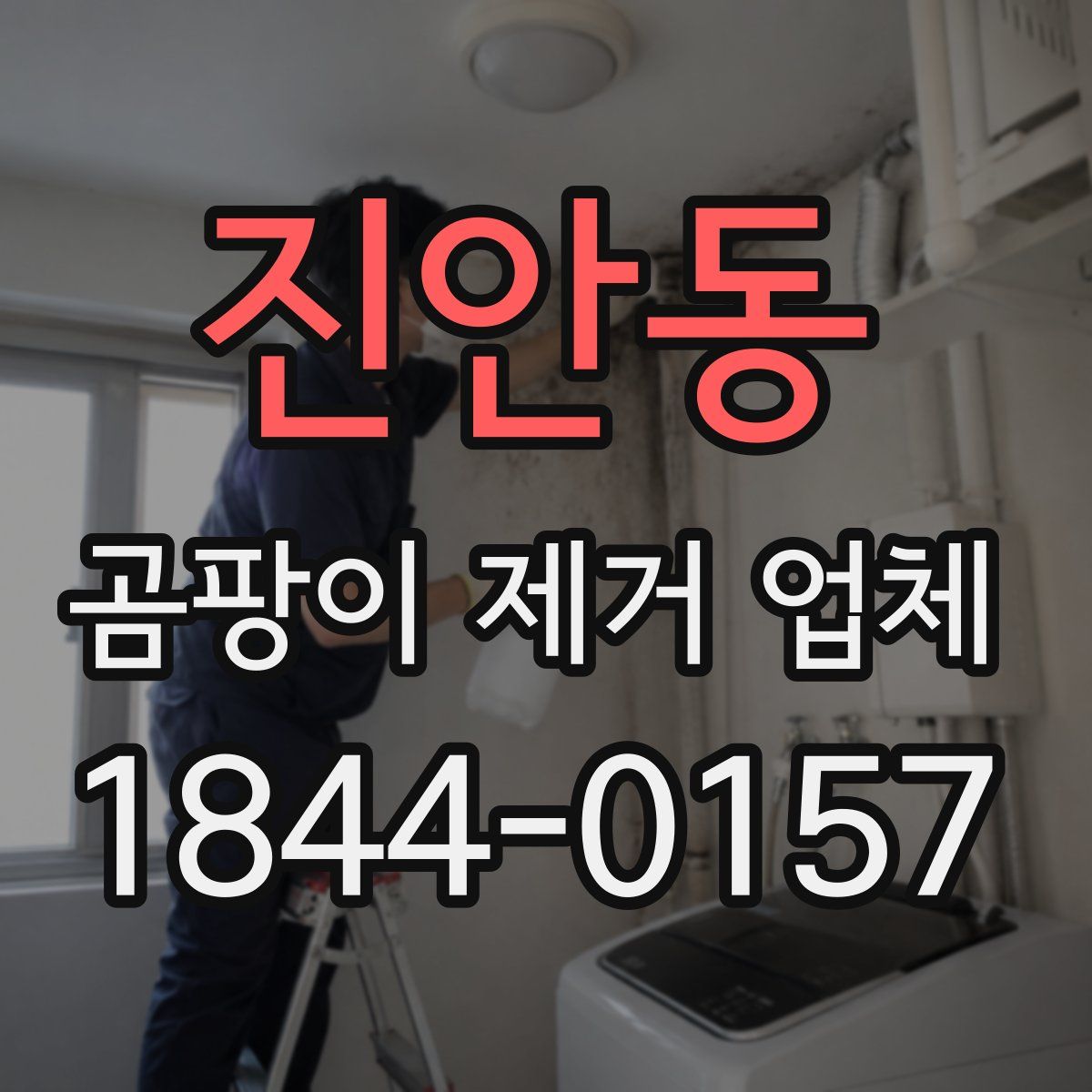 진안동 곰팡이 제거 업체