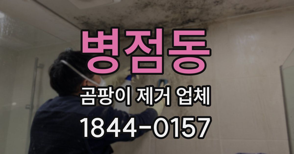 병점동 곰팡이 제거 업체