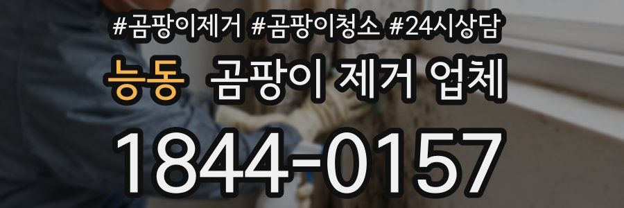 능동 곰팡이 제거 업체