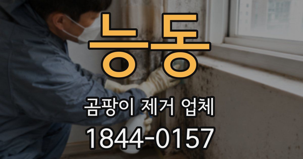 능동 곰팡이 제거 업체