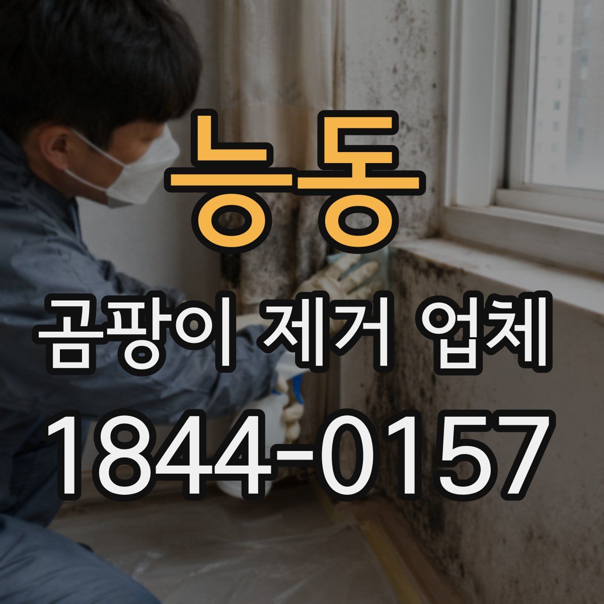 능동 곰팡이 제거 업체