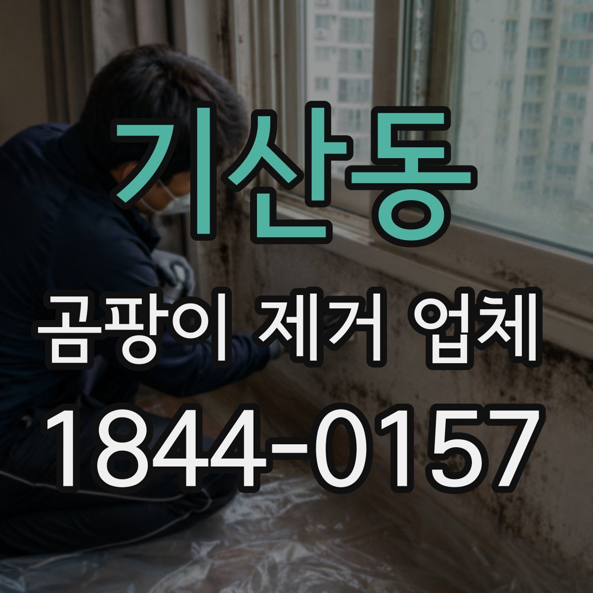 기산동 곰팡이 제거 업체