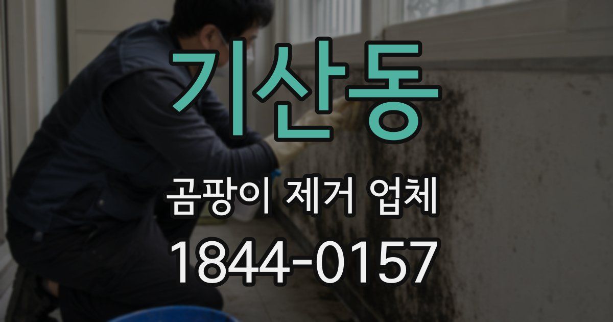 기산동 곰팡이 제거 업체