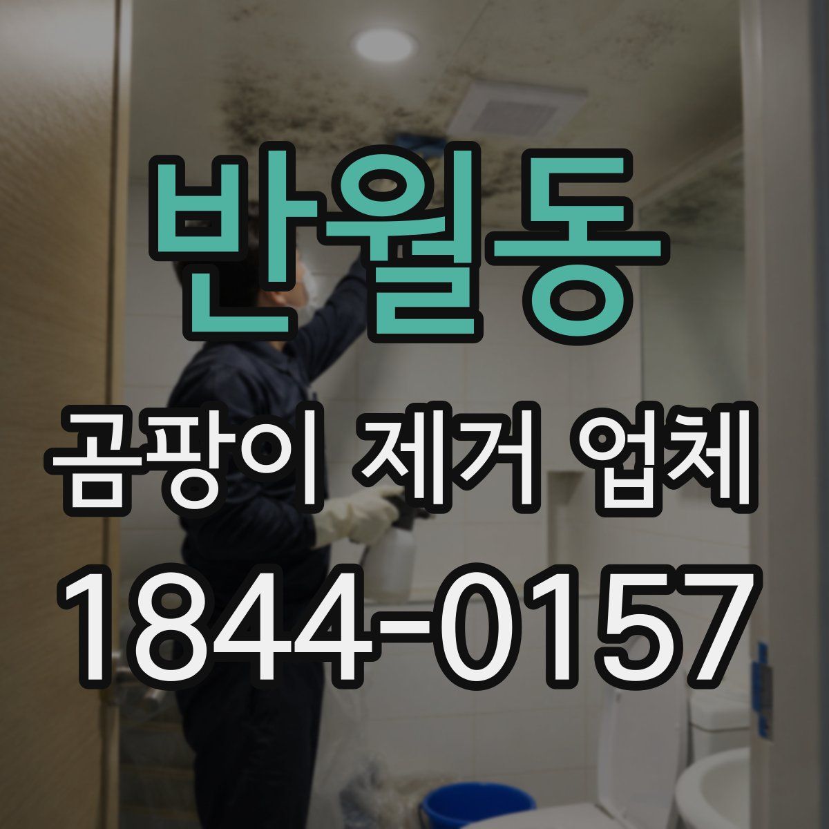반월동 곰팡이 제거 업체