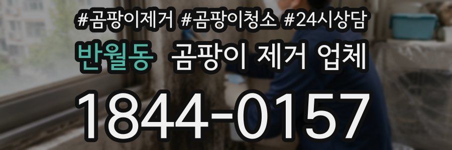 반월동 곰팡이 제거 업체