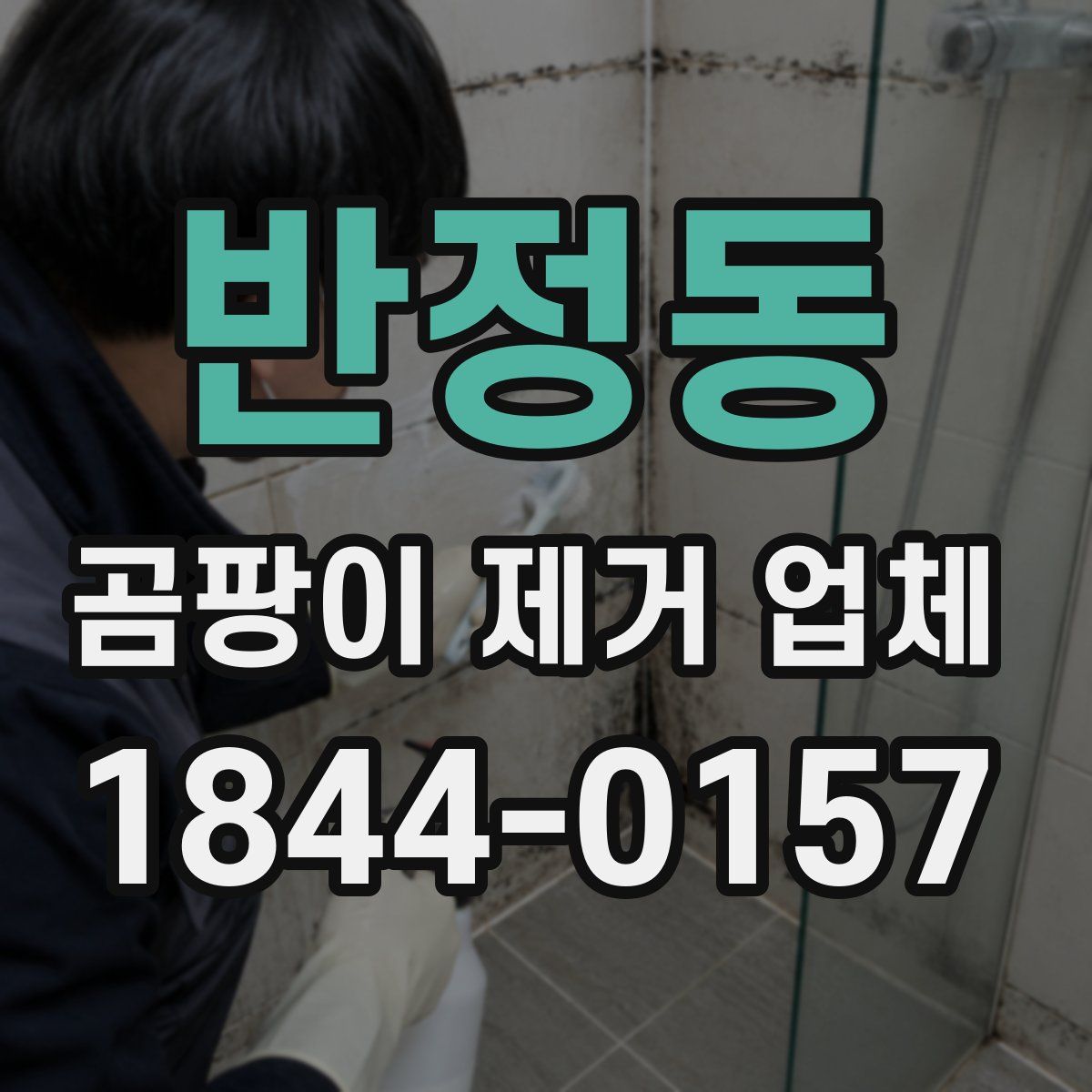 반정동 곰팡이 제거 업체