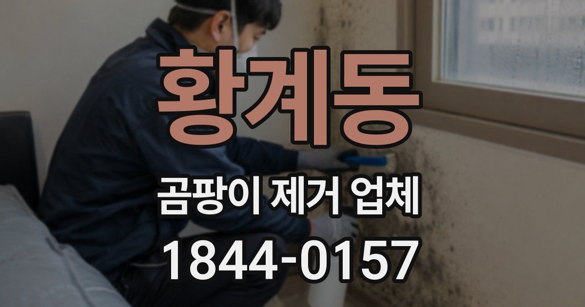 황계동 곰팡이 제거 업체