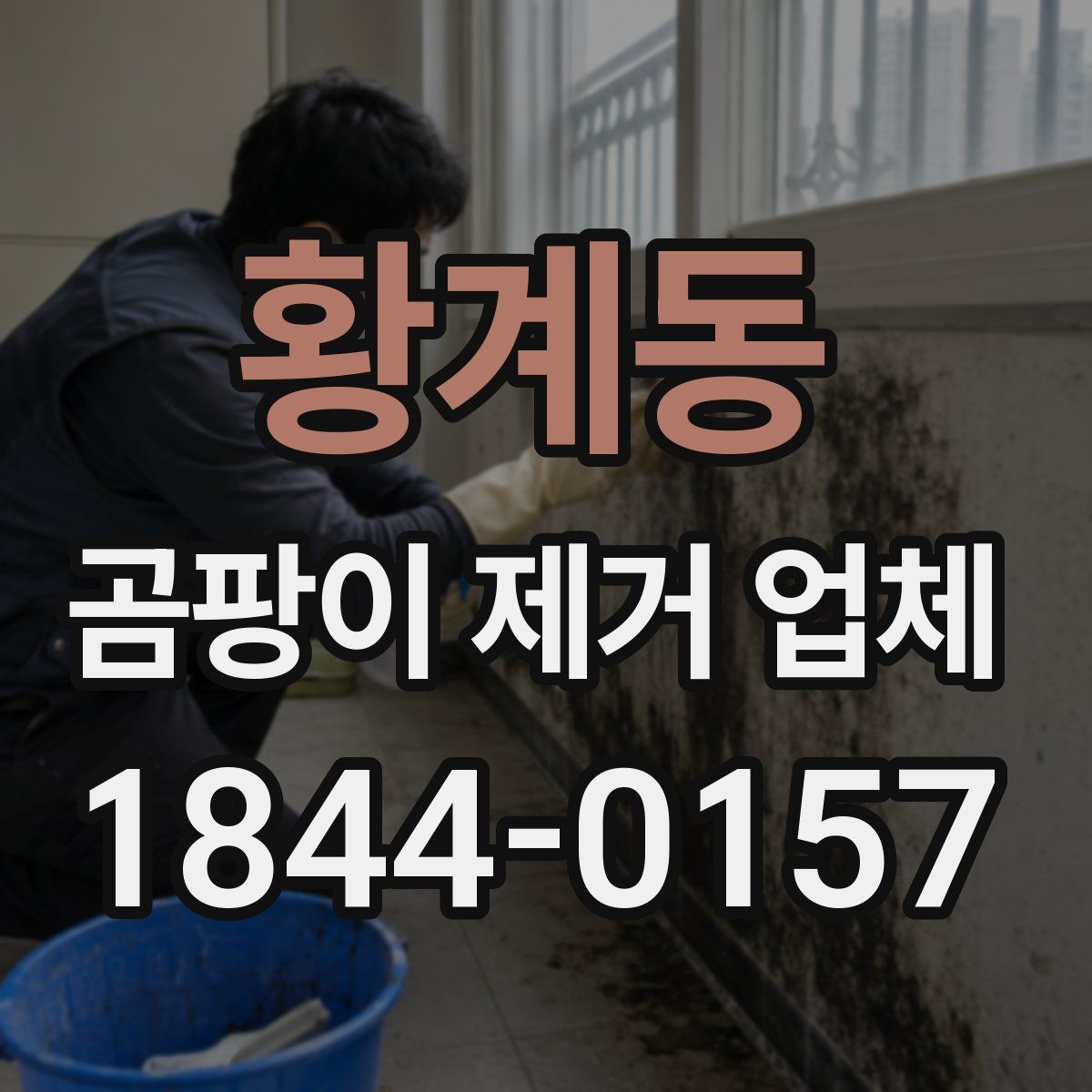 황계동 곰팡이 제거 업체