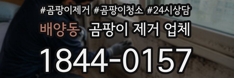 배양동 곰팡이 제거 업체