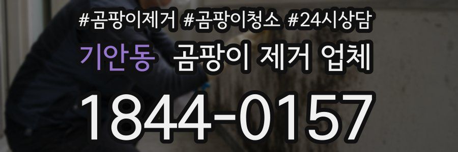 기안동 곰팡이 제거 업체