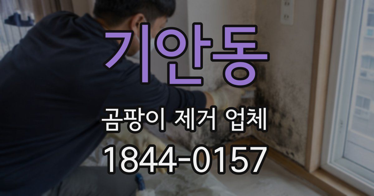 기안동 곰팡이 제거 업체