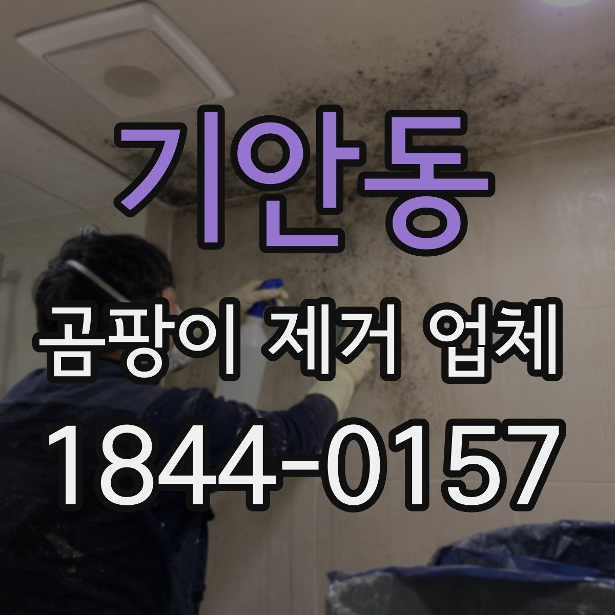 기안동 곰팡이 제거 업체