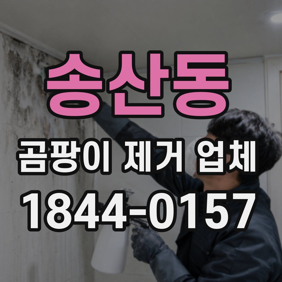 송산동 곰팡이 제거 업체
