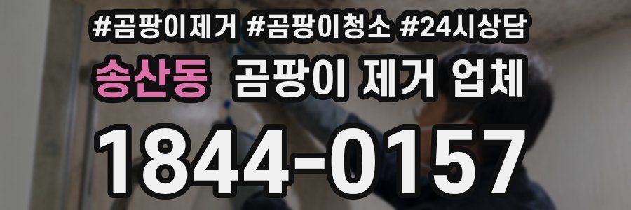 송산동 곰팡이 제거 업체