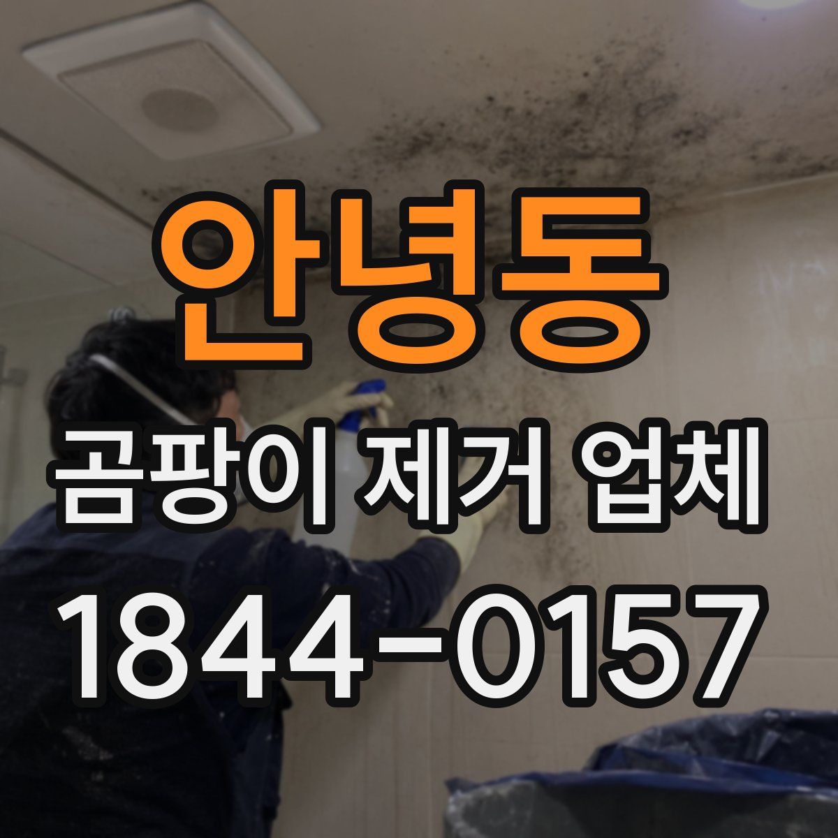 안녕동 곰팡이 제거 업체
