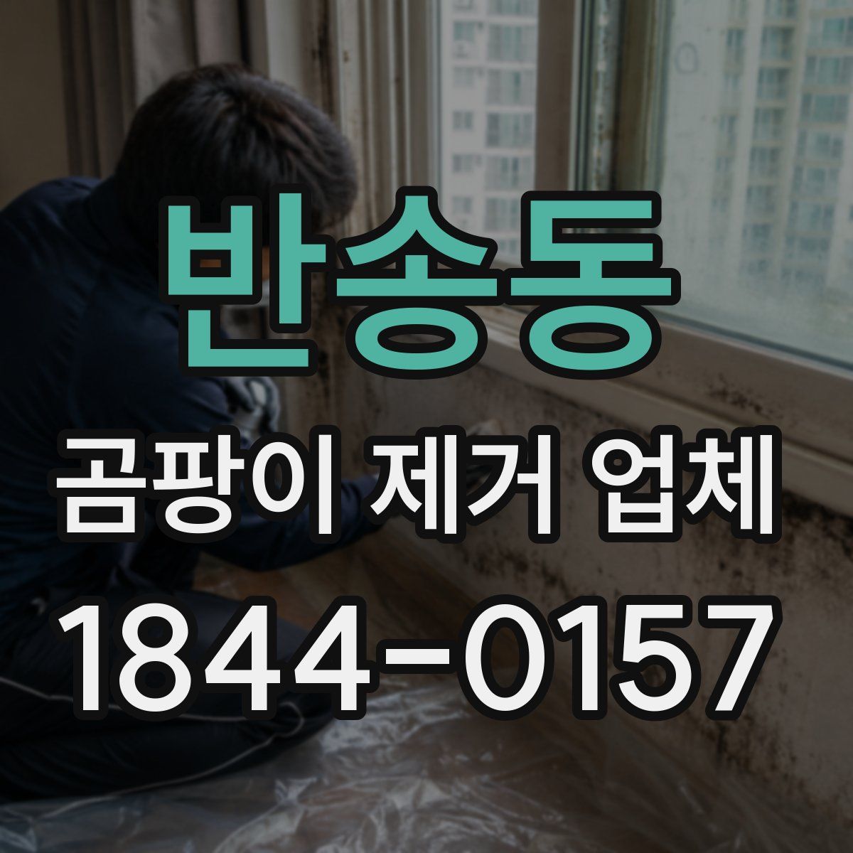 반송동 곰팡이 제거 업체