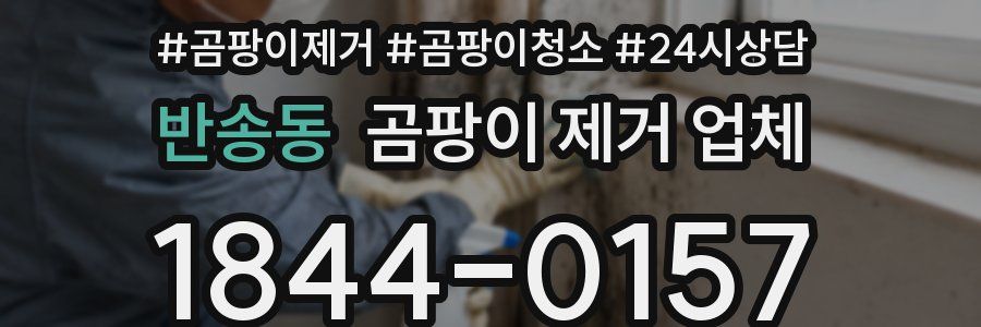 반송동 곰팡이 제거 업체