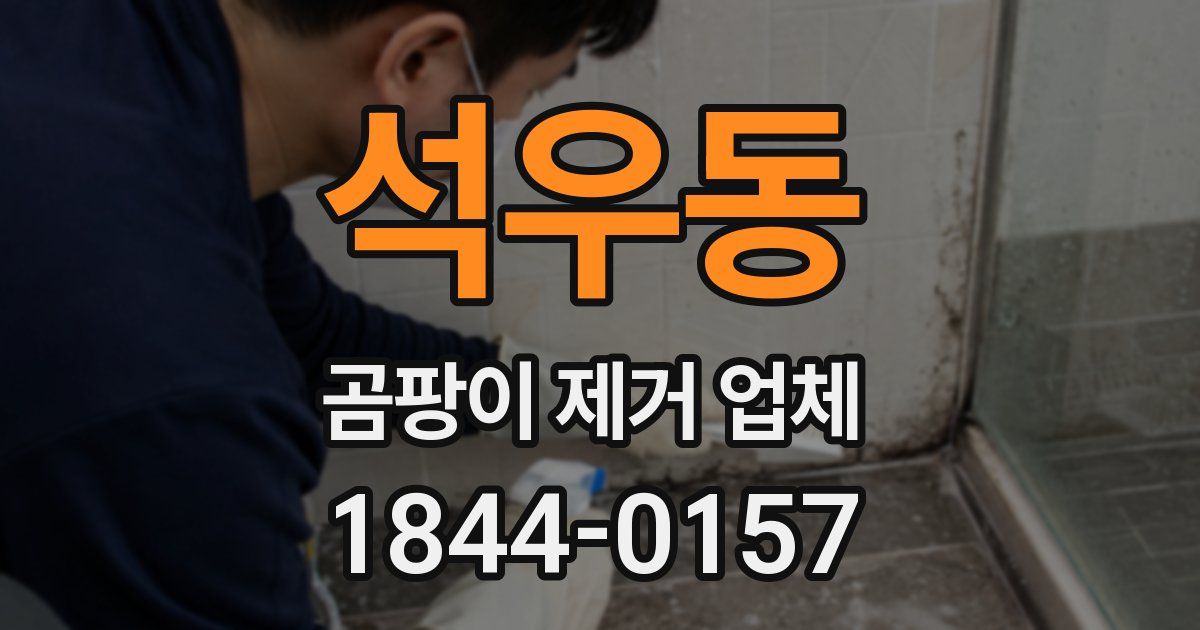 석우동 곰팡이 제거 업체