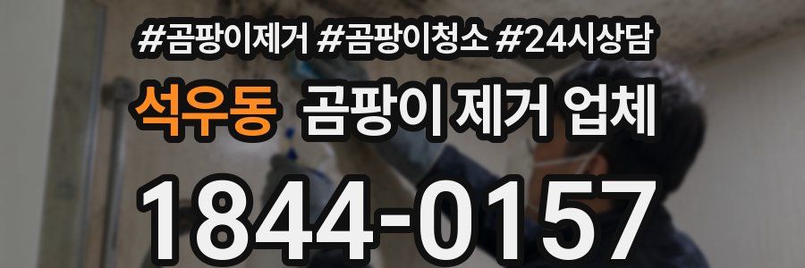 석우동 곰팡이 제거 업체