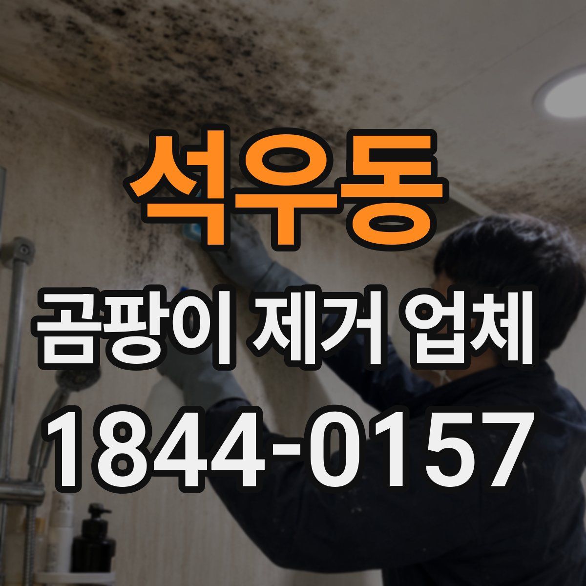 석우동 곰팡이 제거 업체