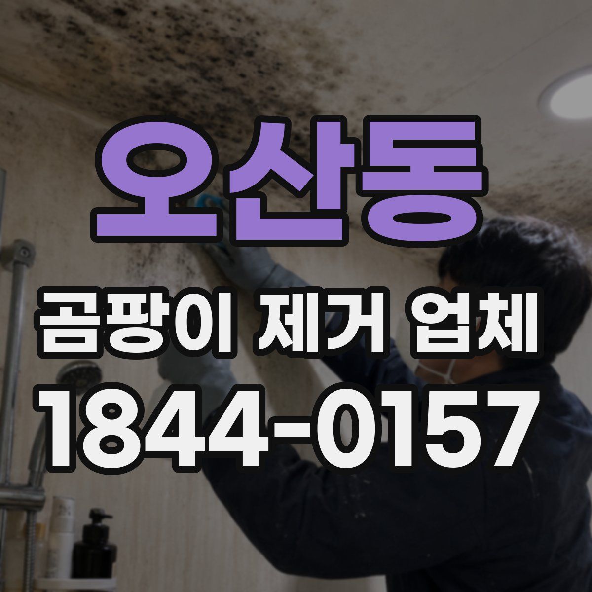 오산동 곰팡이 제거 업체