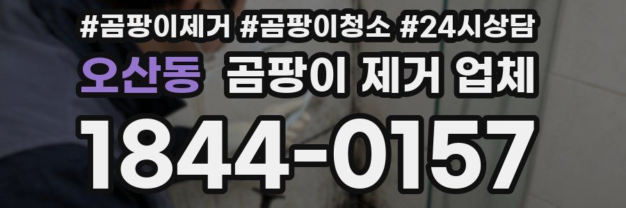 오산동 곰팡이 제거 업체