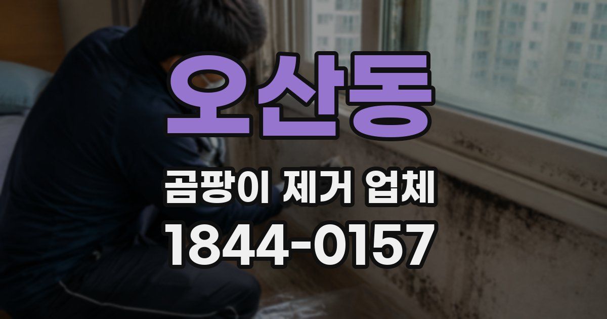 오산동 곰팡이 제거 업체