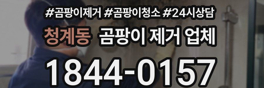 청계동 곰팡이 제거 업체