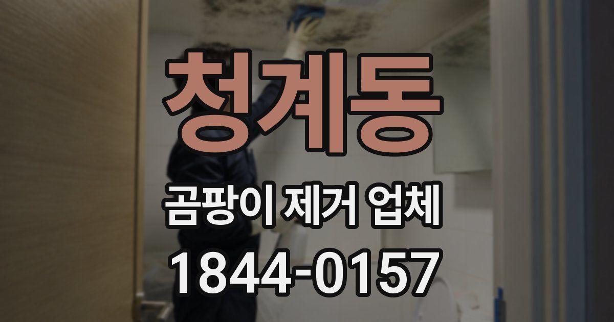 청계동 곰팡이 제거 업체