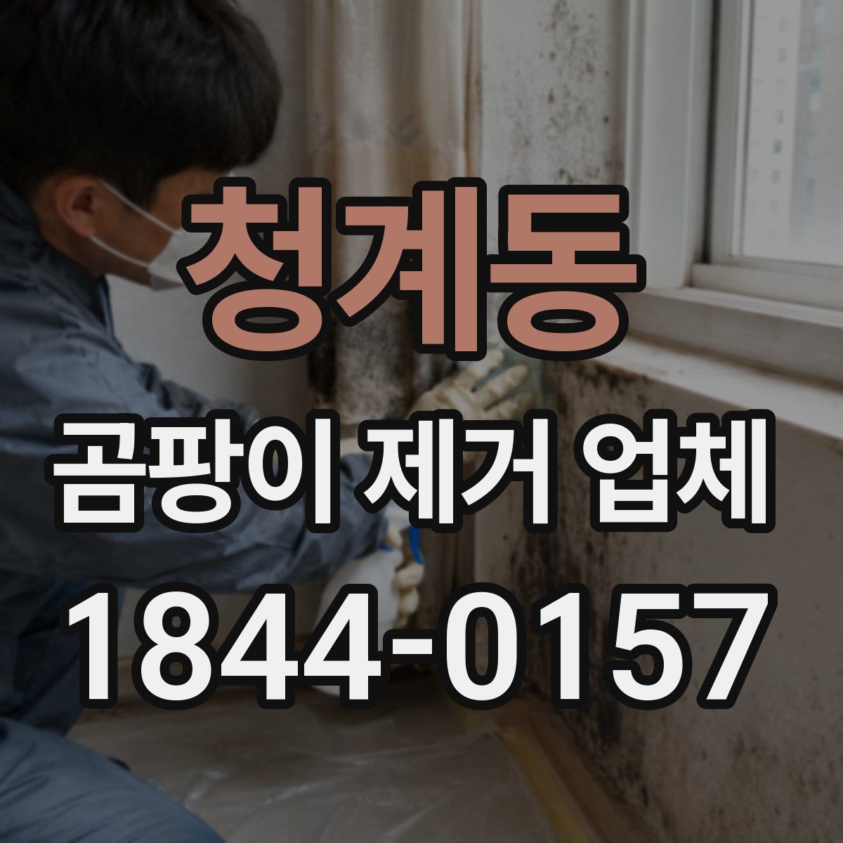 청계동 곰팡이 제거 업체