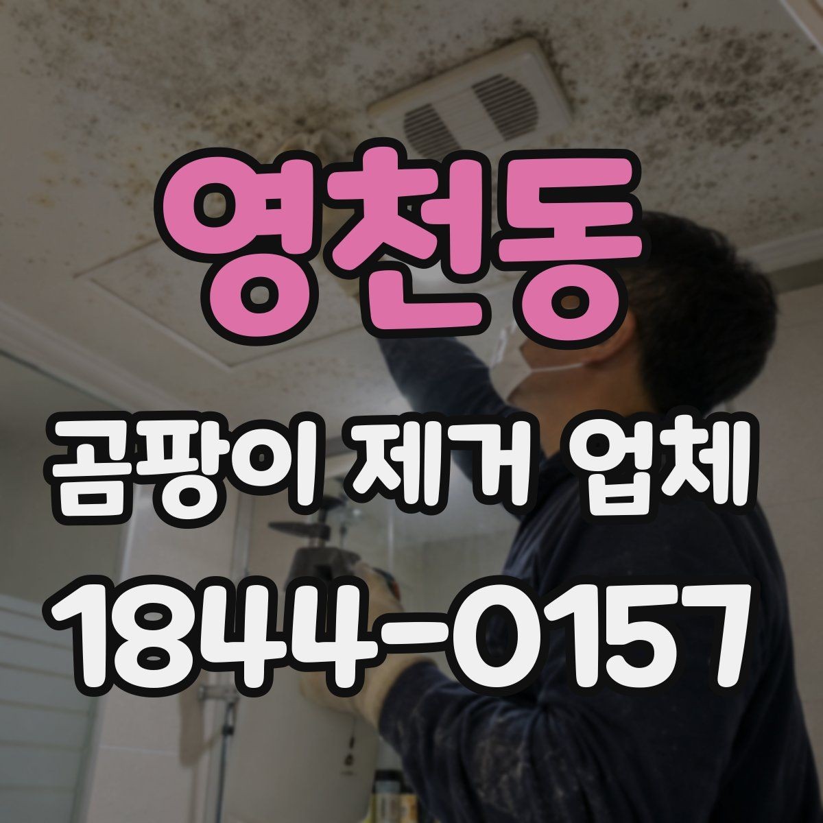 영천동 곰팡이 제거 업체 벽면과 천장 오염을 나눠 진단하는 기준