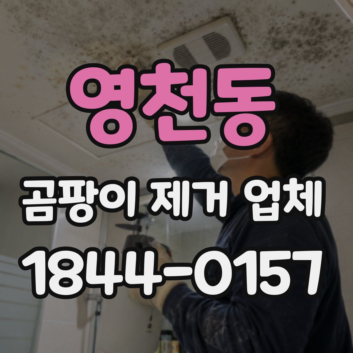 영천동 곰팡이 제거 업체