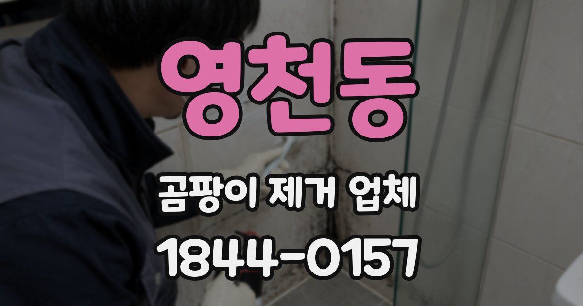 영천동 곰팡이 제거 업체
