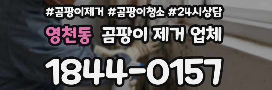 영천동 곰팡이 제거 업체