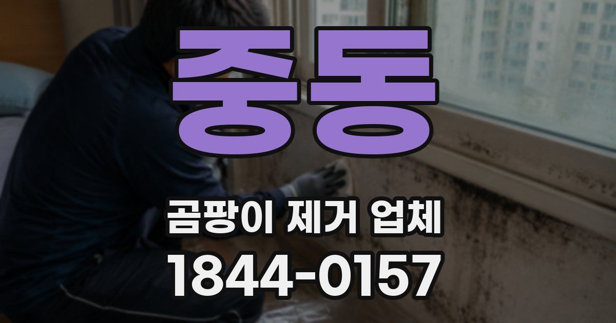 중동 곰팡이 제거 업체