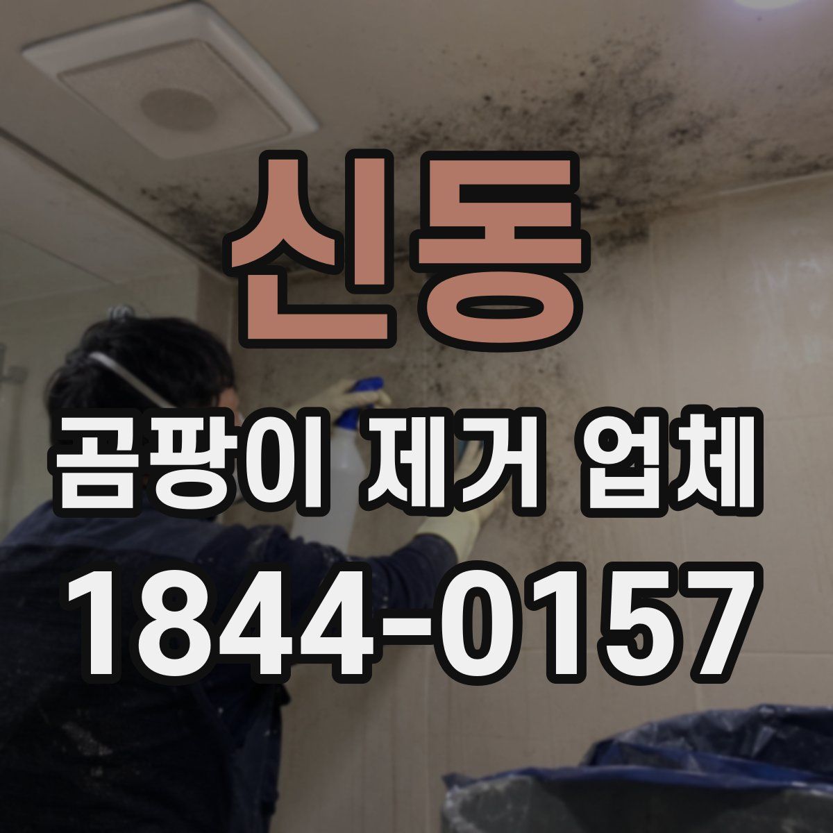 신동 곰팡이 제거 업체